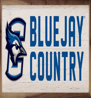 Logo Country Creighton University